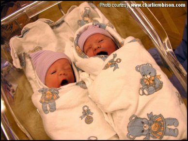 twins01.jpg